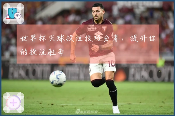 世界杯买球投注技巧分享，提升你的投注胜率